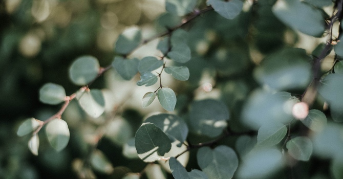 Clinical Mental Health and Substance Use Disorder Counseling